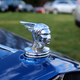 Illustration for article titled Car Spotting at the Virginia Gold Cup